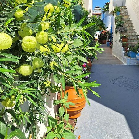 Βig Βlue Apartments Makrýgialos المظهر الخارجي الصورة