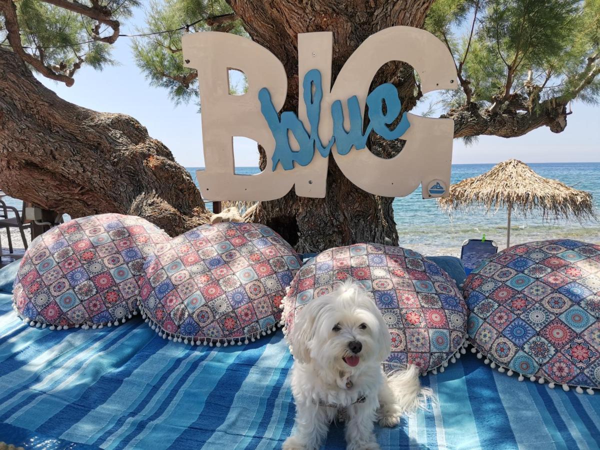 Βig Βlue Apartments Makrýgialos المظهر الخارجي الصورة