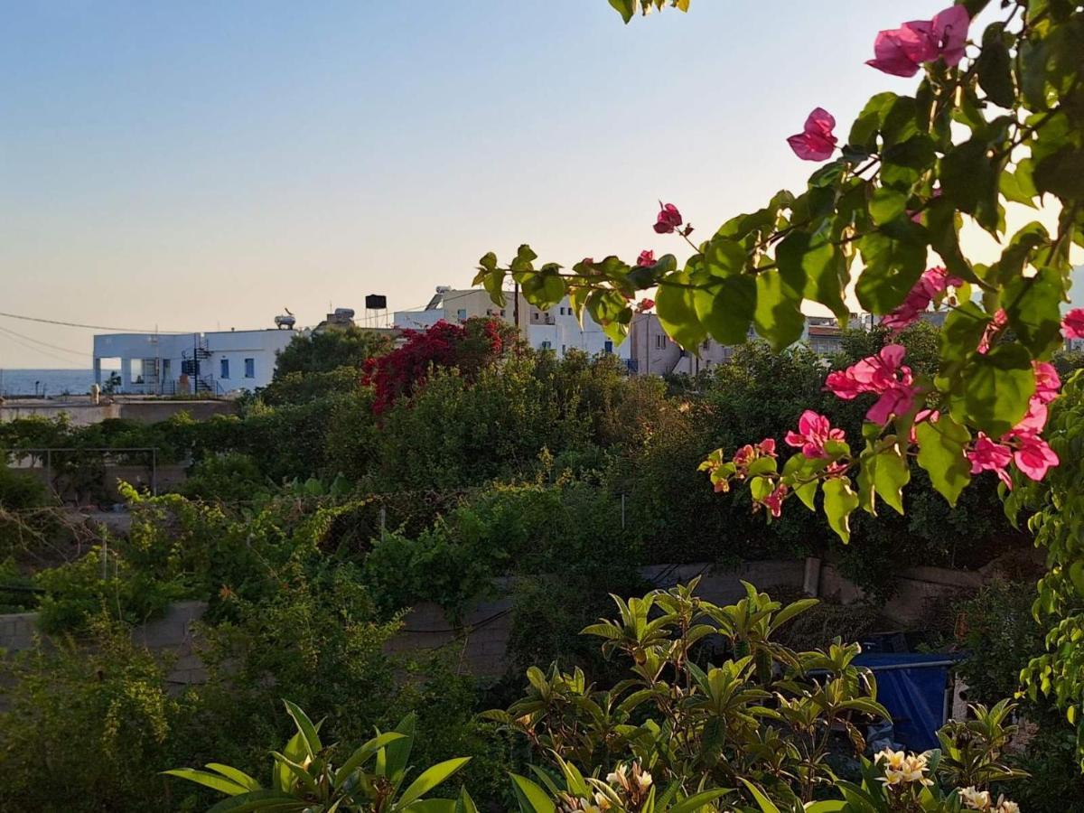 Βig Βlue Apartments Makrýgialos المظهر الخارجي الصورة