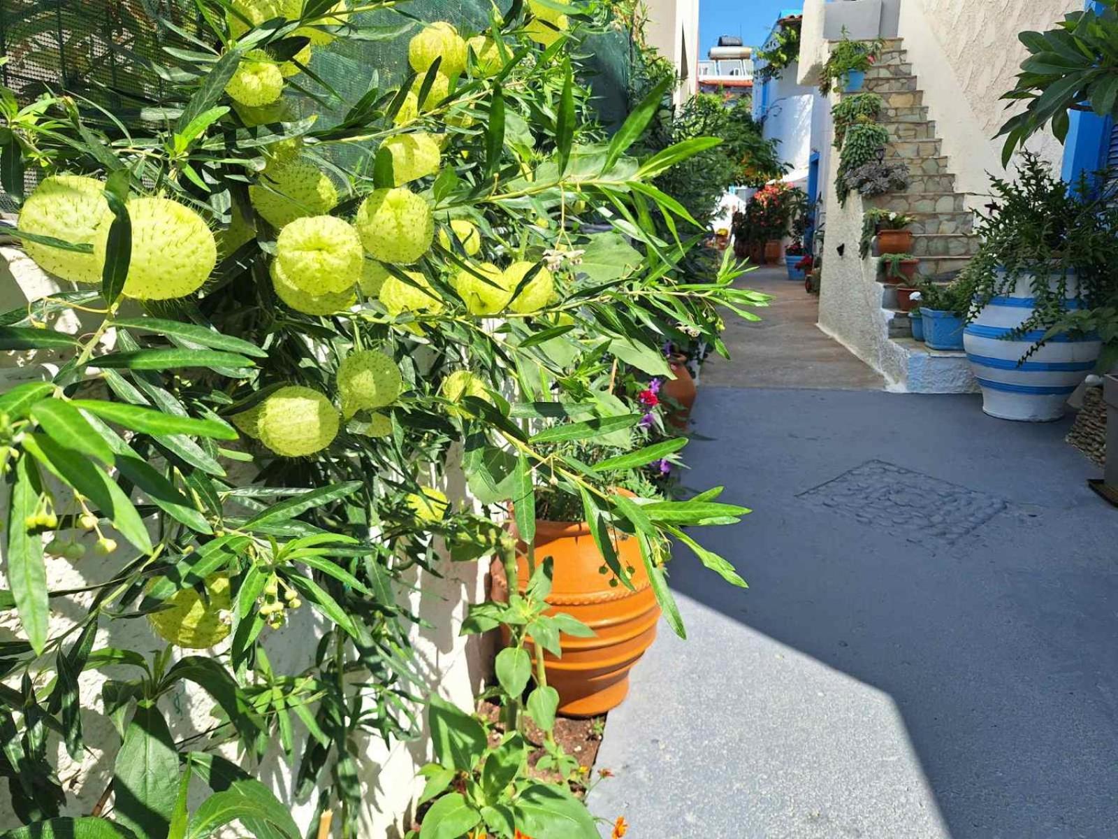 Βig Βlue Apartments Makrýgialos المظهر الخارجي الصورة