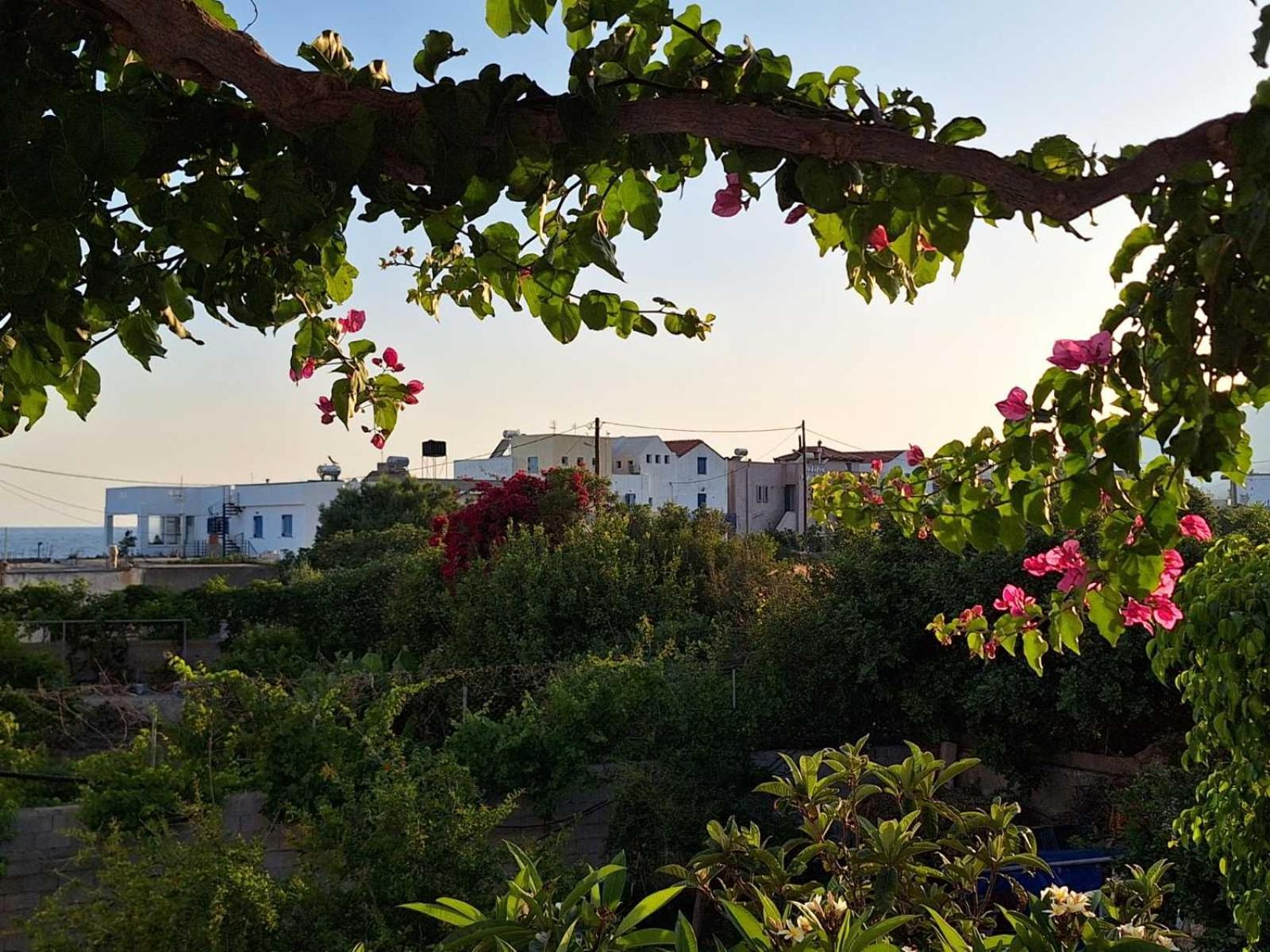 Βig Βlue Apartments Makrýgialos المظهر الخارجي الصورة