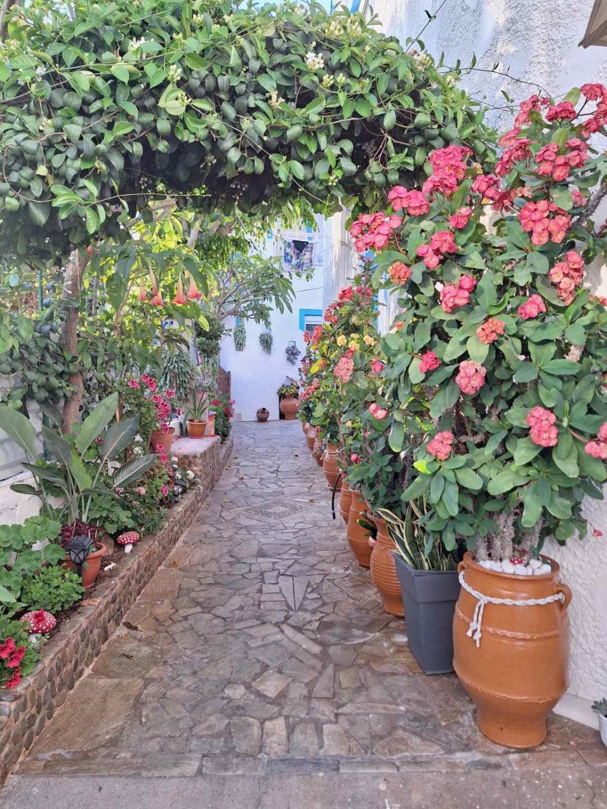 Βig Βlue Apartments Makrýgialos المظهر الخارجي الصورة