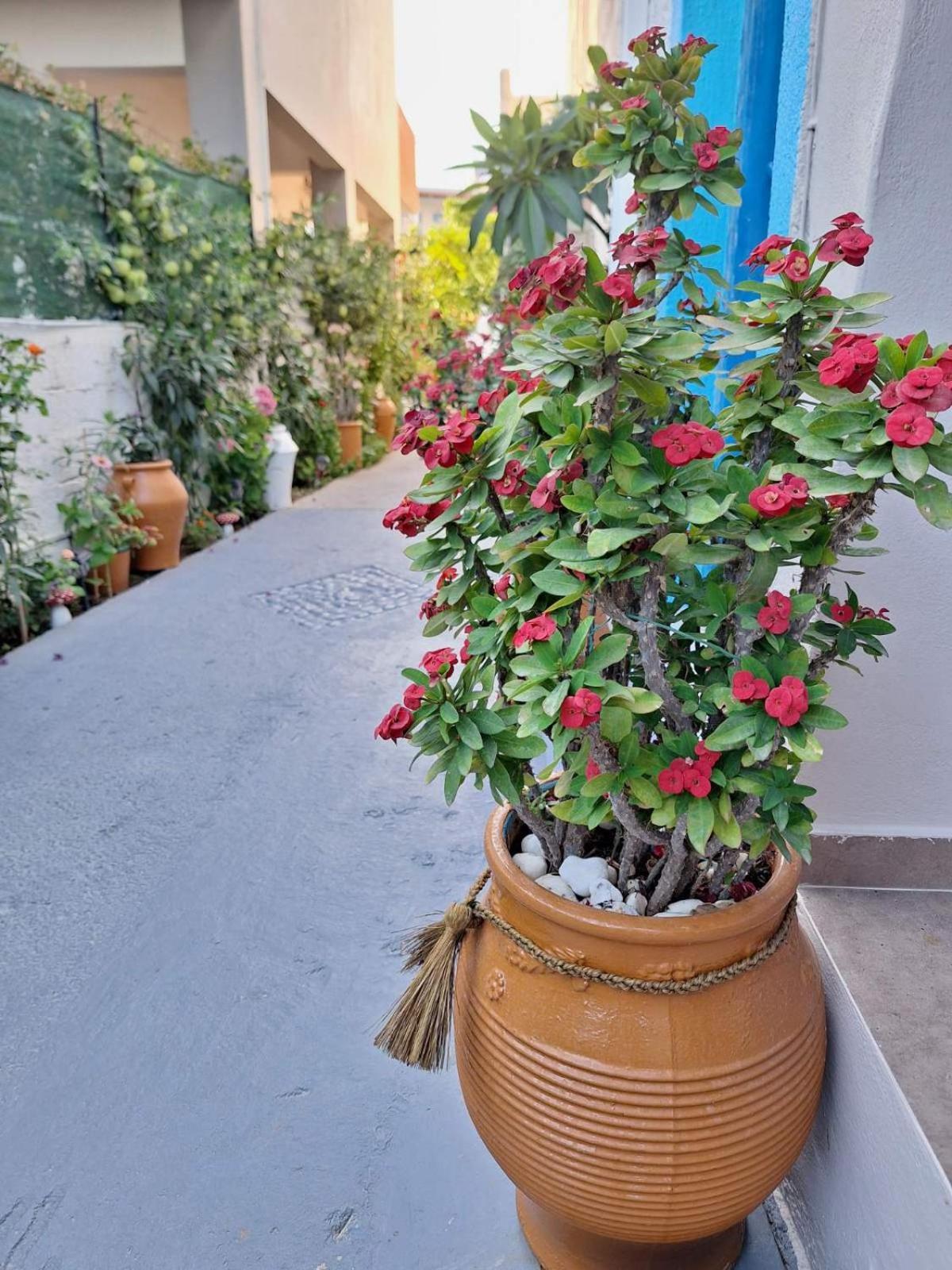 Βig Βlue Apartments Makrýgialos المظهر الخارجي الصورة