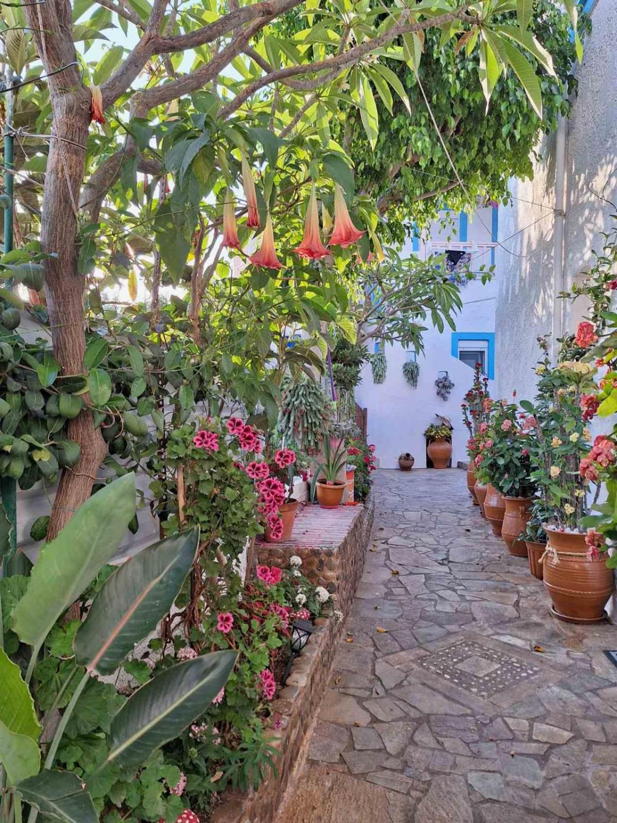 Βig Βlue Apartments Makrýgialos المظهر الخارجي الصورة