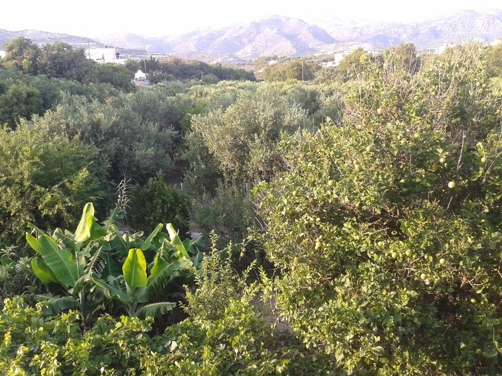 Βig Βlue Apartments Makrýgialos الغرفة الصورة